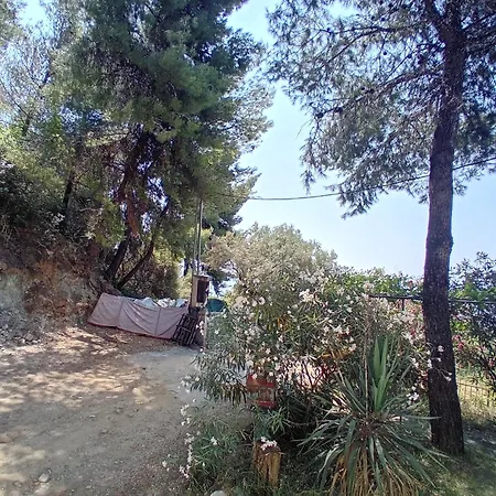 Aliki Is Our Happy Place