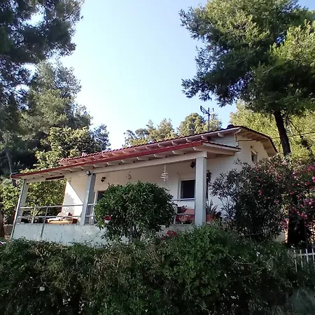 Aliki Is Our Happy Place Villa Nea Skioni