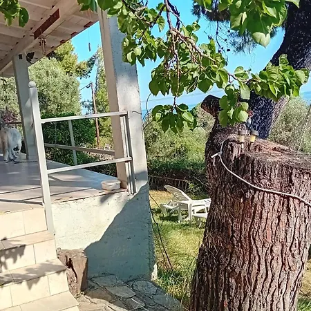 Villa Aliki Is Our Happy Place