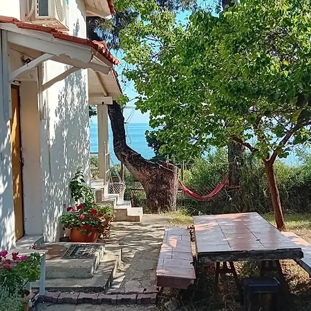 Aliki Is Our Happy Place *