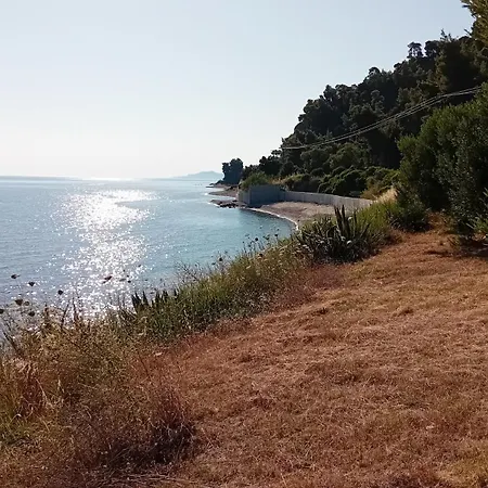 Aliki Is Our Happy Place *