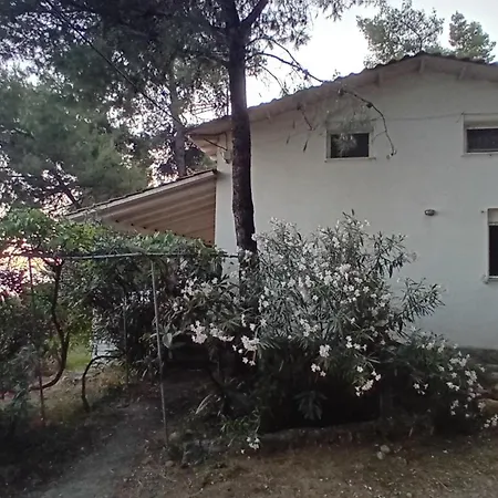 Aliki Is Our Happy Place * Nea Skioni