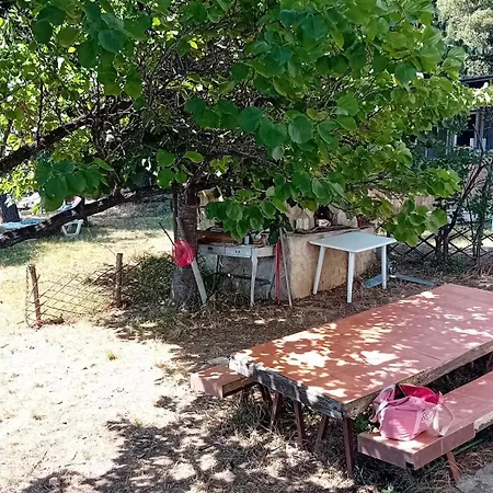 Aliki Is Our Happy Place * Неа-Скиони