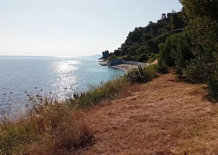 Aliki Is Our Happy Place *